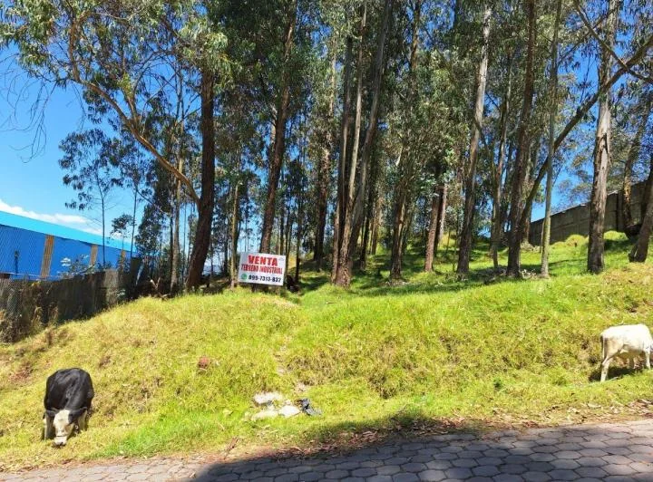 Venta Terreno Industrial Sector Conocoto 2496 m² — imagen 1