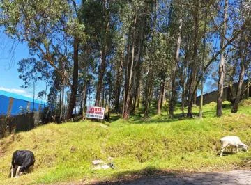 Venta Terreno Industrial Sector Conocoto 2496 m² — imagen 5