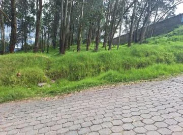 Venta Terreno Industrial Sector Conocoto 2496 m² — imagen 3