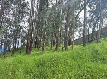 Venta Terreno Industrial Sector Conocoto 2496 m² — imagen 2
