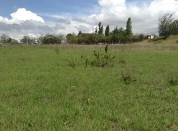 Vendo Terreno Plano 32.736 m² Urbanizado $30 Xm², Urbano, Urcuquí, Imbabura, Vía, Imbabura — imagen 5