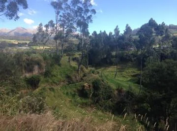 Vendo Terreno Plano 32.736 m² Urbanizado $30 Xm², Urbano, Urcuquí, Imbabura, Vía, Imbabura — imagen 3
