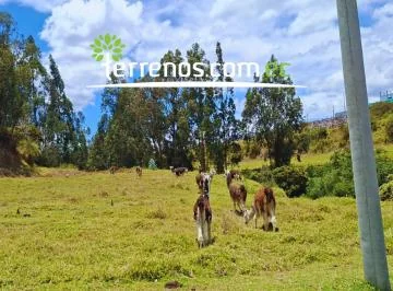 Terreno de Venta de 1245 m² Urbanización Altos de Betania, Alangasí — imagen 2