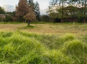 Sangolquí Sector Bodegas del Supermaxi Vendo Terreno a La Vía — imagen 4