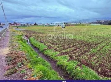 Venta de Terrenos a Diez Minutos de Riobamba, Tunshi, Chimborazo — imagen 3