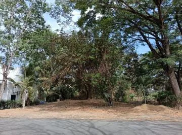 Amplio Terreno de 808 m² en Lago de Capeira - Naturaleza y Seguridad, Guayas — imagen 2