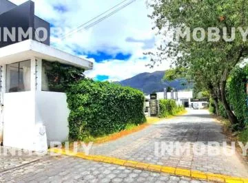 Venta de Complejo Comercial – Av Galo Plaza Lasso — imagen 2