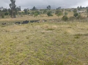 Hermosa Lotización en Santa Rosa, Tungurahua — imagen 2
