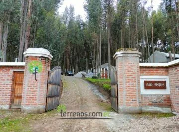 Venta de Terreno en Cayambe 2.500 m², Lotización Entre Bosques, Lote No.7. Provincia de Pichincha — imagen 5