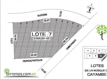 Venta de Terreno en Cayambe 2.500 m², Lotización Entre Bosques, Lote No.7. Provincia de Pichincha — imagen 4