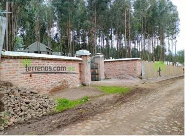 Venta de Terreno en Cayambe 2.500 m², Lotización Entre Bosques, Lote No.7. Provincia de Pichincha — imagen 3