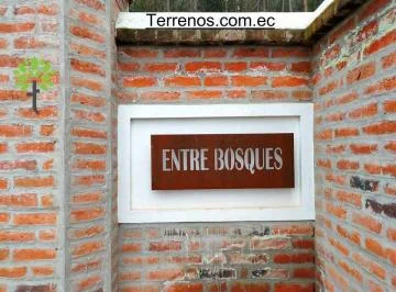 Venta de Terreno en Cayambe 2.500 m², Lotización Entre Bosques, Lote No.7. Provincia de Pichincha — imagen 2