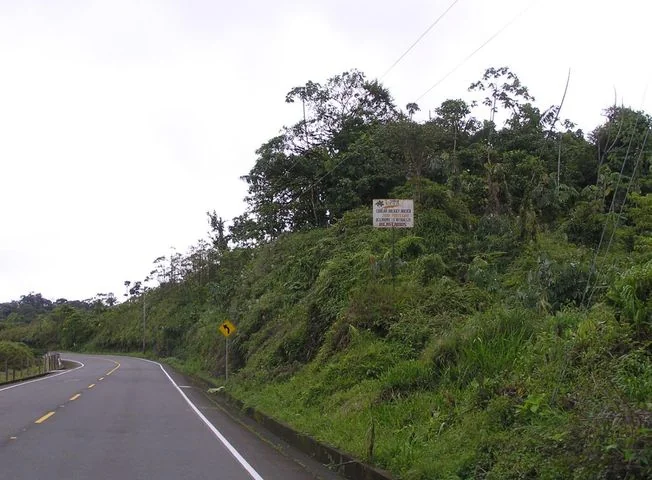 Terreno en venta en San Lorenzo — imagen 3