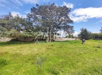 Terreno en Venta 1.200 m² en Puembo — imagen 3