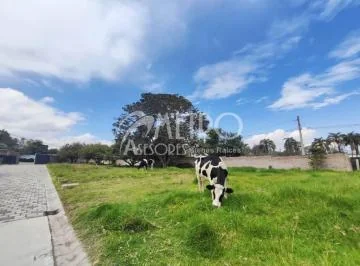 Terreno en Venta 1.200 m² en Puembo — imagen 2