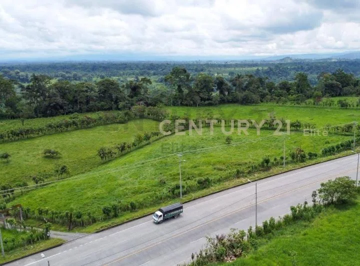 Vendo Terreno 127 Hectáreas, E - 20 Vía Santo Domingo La Concordia Km 8 — imagen 1