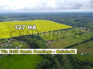 Vendo Terreno 127 Hectáreas, E - 20 Vía Santo Domingo La Concordia Km 8 — imagen 5