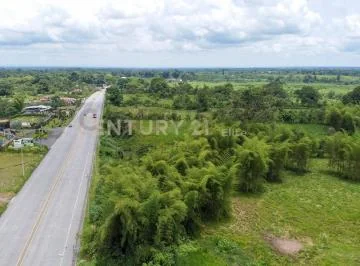 Vendo Terreno 127 Hectáreas, E - 20 Vía Santo Domingo La Concordia Km 8 — imagen 4