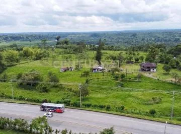 Vendo Terreno 127 Hectáreas, E - 20 Vía Santo Domingo La Concordia Km 8 — imagen 3