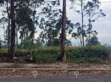 Terreno en Mitad del Mundo — imagen 3