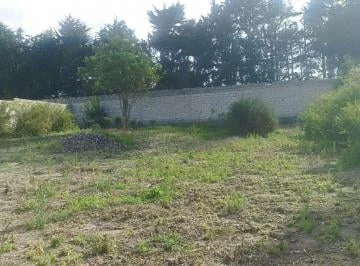 Venta de Terreno de 600 m² en Pomasqui — imagen 4