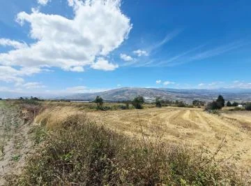 Terreno de 2300 m² en Venta Tabacundo — imagen 5