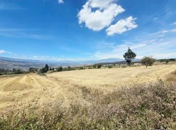 Terreno de 2300 m² en Venta Tabacundo — imagen 4