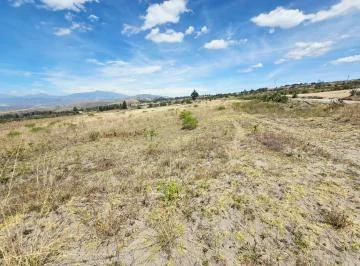 Terreno de 2300 m² en Venta Tabacundo — imagen 3