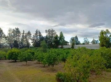 Vendo Terreno de 5500 m en Checa - Sector Selva Alegre — imagen 5
