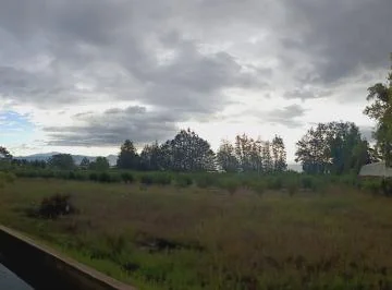Vendo Terreno de 5500 m en Checa - Sector Selva Alegre — imagen 4