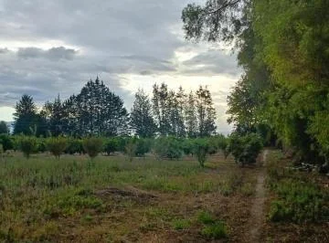Vendo Terreno de 5500 m en Checa - Sector Selva Alegre — imagen 3