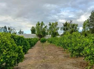 Vendo Terreno de 5500 m en Checa - Sector Selva Alegre — imagen 2
