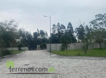 Terreno de Venta 425 m² en Puembo Sector Colegio Highlands — imagen 5