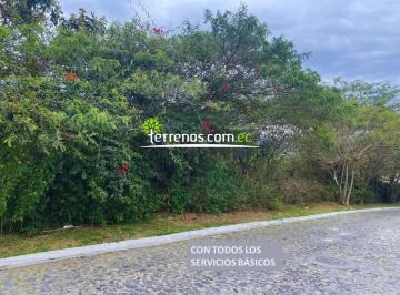 Terreno en Venta de 1.000 m², en Las Urb Las Peñas - Tumbaco — imagen 2