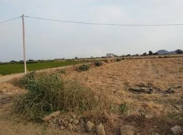 Terreno en Venta, Via Salitre, Guayas, Ecuador - C. Garcia, Guayas — imagen 5