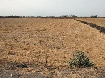 Terreno en Venta, Via Salitre, Guayas, Ecuador - C. Garcia, Guayas — imagen 4