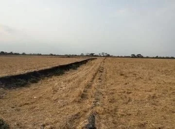 Terreno en Venta, Via Salitre, Guayas, Ecuador - C. Garcia, Guayas — imagen 3