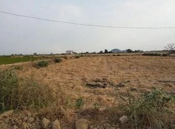 Terreno en Venta, Via Salitre, Guayas, Ecuador - C. Garcia, Guayas — imagen 2