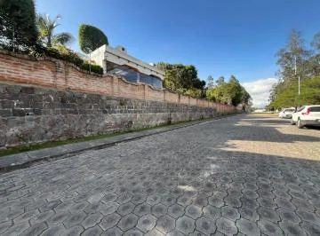 Nayon Tereno de Venta 1.000 m² Urbanización Privada — imagen 4