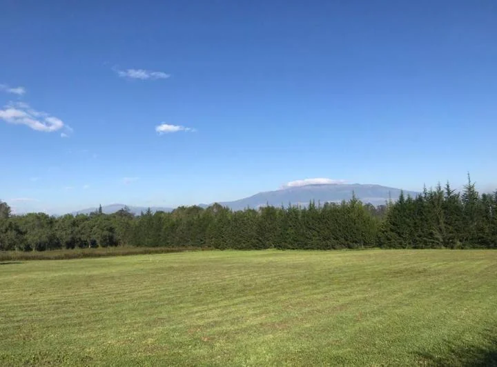 Terreno Se Venta en Checa en Urb Exclusiva — imagen 1