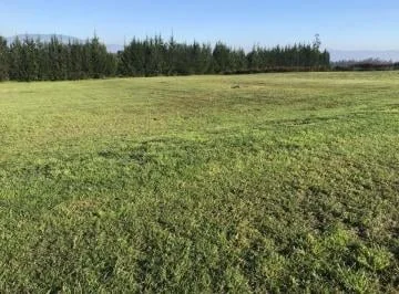 Terreno Se Venta en Checa en Urb Exclusiva — imagen 2