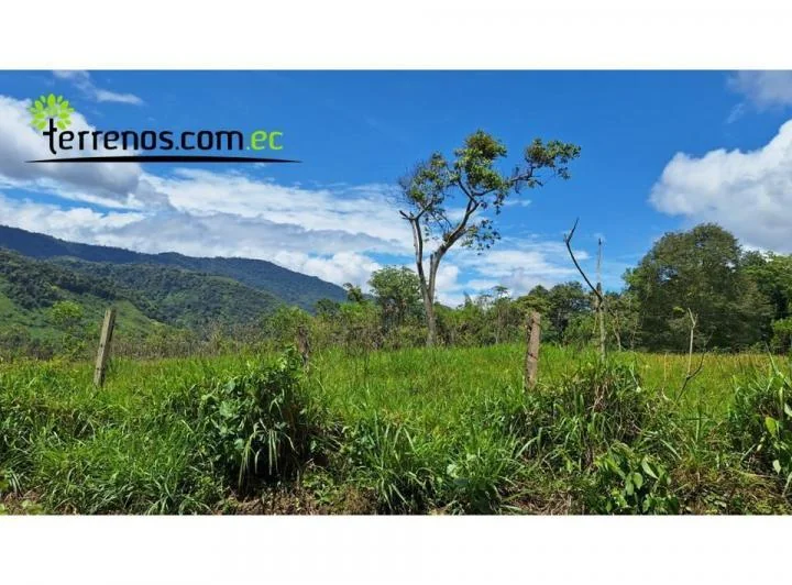 Terreno de Venta 5 Ha, Sector El Cielito, Carchi, Carchi — imagen 1