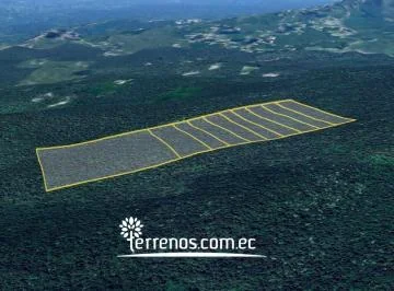 Terreno de Venta 5 Ha, Sector El Cielito, Carchi, Carchi — imagen 2