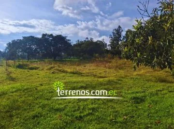 Terreno de Venta en Yaruqui Cerca de La Vía Principal 18.300 m² Pocos Minutos de Tababela Checa — imagen 4