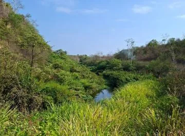 Terreno Agrícola de 115 Has con Riego en San Lorenzo del Mate Progreso, Guayas — imagen 4