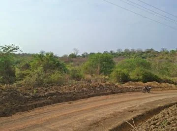 Terreno Agrícola de 115 Has con Riego en San Lorenzo del Mate Progreso, Guayas — imagen 3