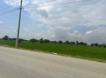 Venta 80.500 m² Sector Barranca - Samborondón, Cerca de C. Celeste. y de La Comunidad de Barranca, Guayas — imagen 5