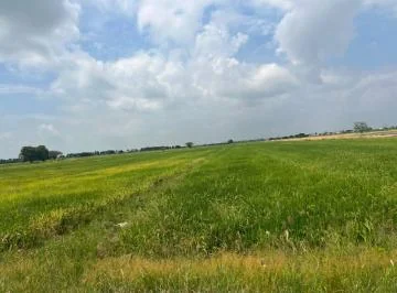 Venta 80.500 m² Sector Barranca - Samborondón, Cerca de C. Celeste. y de La Comunidad de Barranca, Guayas — imagen 3