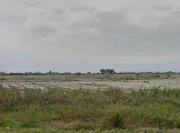 Venta 80.500 m² Sector Barranca - Samborondón, Cerca de C. Celeste. y de La Comunidad de Barranca, Guayas — imagen 2