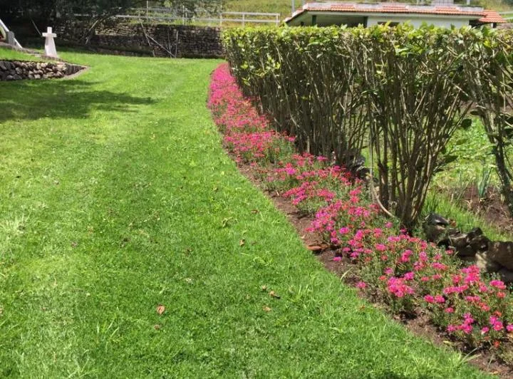 Vendo Terreno 19.984 m² Pifo, Alcantarillado, $50 C/m², A1 Km Vía, Vista — imagen 1